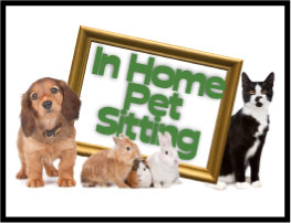 We can come to your home and take care of your pets while you are away.